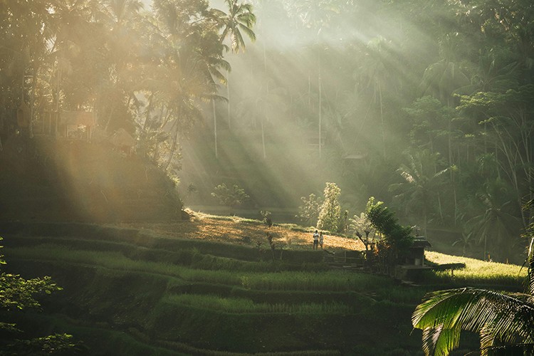 Noir Ubud